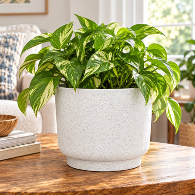 Pot gris moucheté