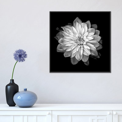 Dahlia XVII, B&W by Magda Indigo - Gallery-Wrapped Canvas Giclée