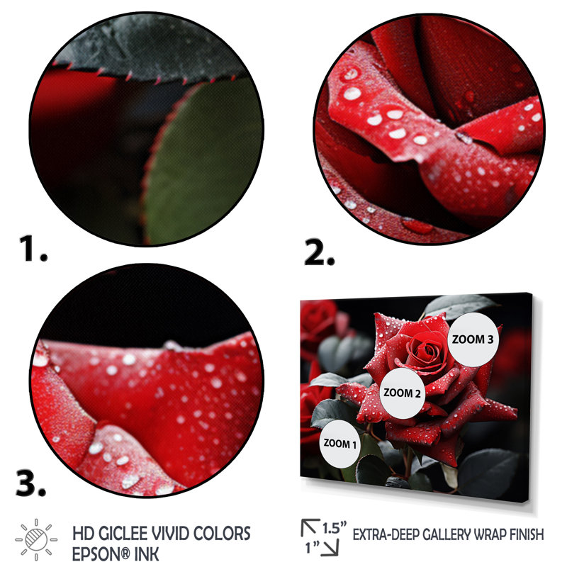 " Water Drops On Red Rose Majesty I ", 34" H x 44" W, Cadre flottant blanc