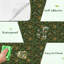 Papier peint pelez et collez Art Nouveau jardin vert Lily Vall Moth Frog Botanical Frogs Moon