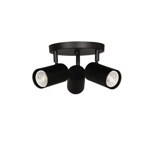 Taylor 3 Light Track Light