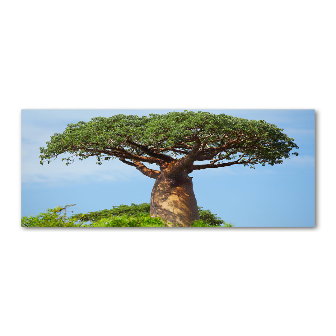 Glasbild Baobab