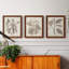 Ensemble de 3 cadres photo sur toile Midnight Tulip V-981462673-981462680