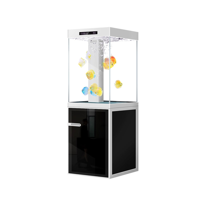 Aquarium 35-45 gallons, H 59,06 po x l 23,62 po x P 15,75 po