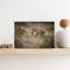 Golden Hour Lionesses Contemporary Cat Lion Nature Wildlife Wall Art Print-643851002