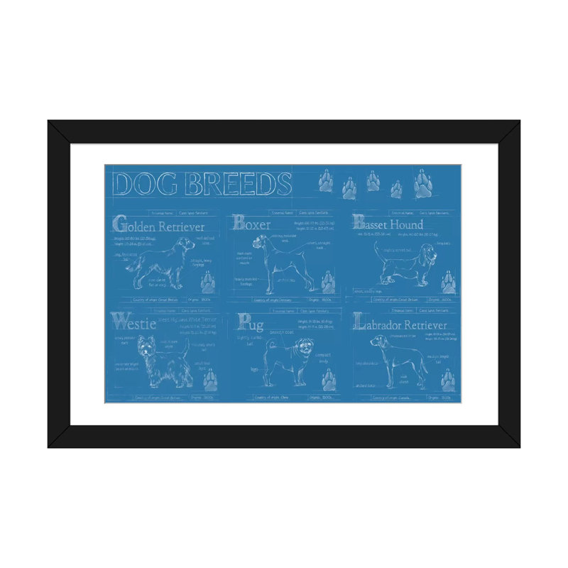 «Dog Breeds Infograph», reproduction d'impression sur toile tendue, H 16 po x l 24 po x P 1 po, Papier d'art encadré noir