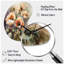 Orange pivoines Blooms II - horloge murale asymétrique en métal pivoines, impression d'horloge en métal de forme unique orange-105565805