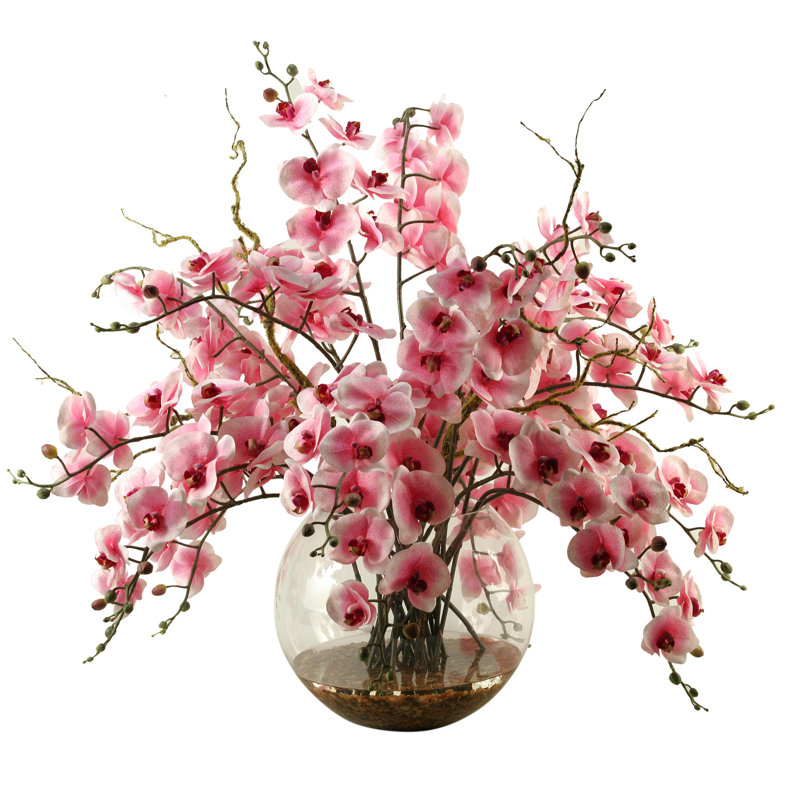 Arrangement Floral Orchidées Dans Un Vase Décoratif