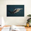 Grand requin marteau-370576232