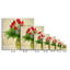 Reproduction sur toile tendue-1914220065