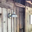 Luminaire de grange d'extérieur Jaklynn-1246812658-1246812661