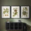 Feuilles antiques I - Impression sur mesure encadrée de qualité supérieure - 3 pièces-2126529242-2126529221