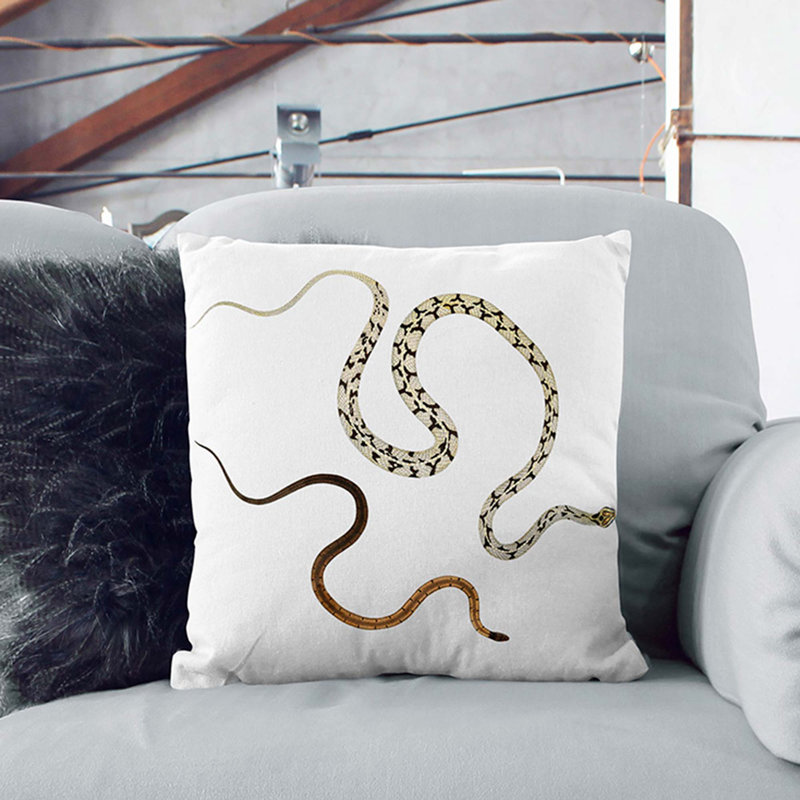 Illustrations of Snakes by John Edward Gray Cushion with Filling, 40cm H x 40cm W x 15cm D, White