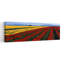 Tulip Field, Mount Vernon, Washington State, États-Unis, art contemporain abstrait tulipe fleur printanière-1846263969