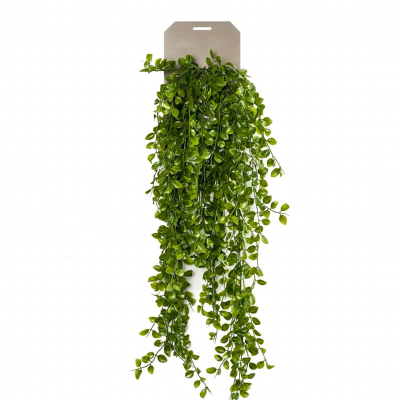 80cm Faux Ficus Plant