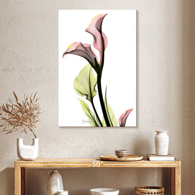 Harnek délicat, lis Calla