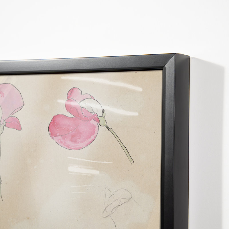 Lathyrus Print by Theo Nieuwenhuis