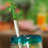 Latitude Run® Handmade Celebration Cactus Recycled Glass Cocktail Stirrer