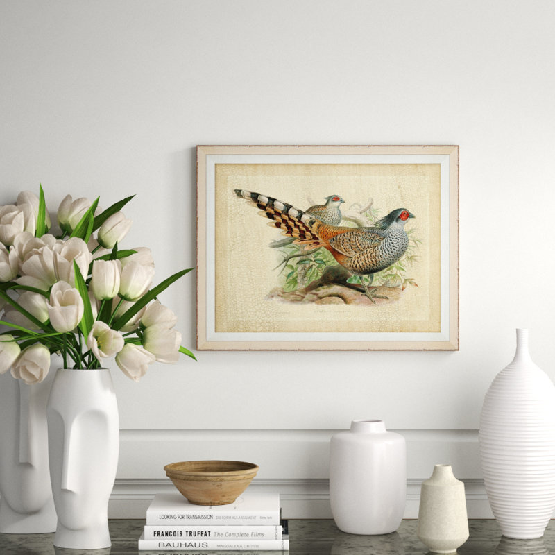 Pheasant Collection 1 Print