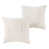 Cast Pumice