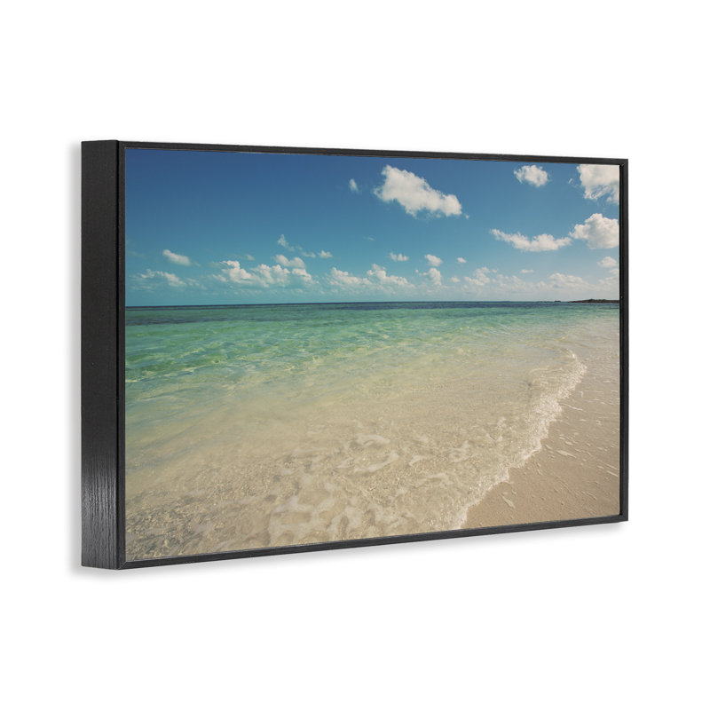 Tricil Coast Shore, estampe numérique par Susan Bryant, H 12 po x l 18 po, Giclée encadrée noir minuit