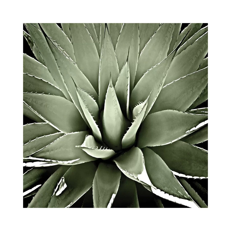 Wrapped Canvas Print, 66.04 cm H x 66.04 cm W x 1.91 cm D