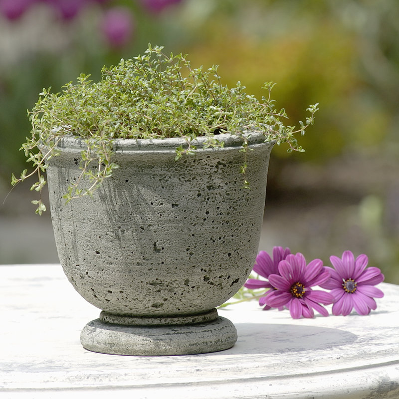 Pot de fleurs Urne Carbone, Ferro Rustico Nuovo