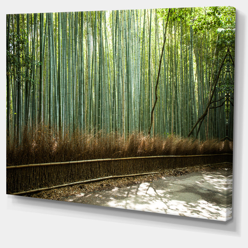 «Beautiful View of Bamboo Forest», reproduction de photo sur toile tendue, H 20 po x l 20 po x P 1 po, Cadre flottant noir