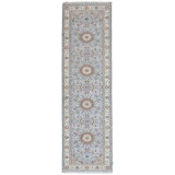 Oriental Area Rug in Ivory