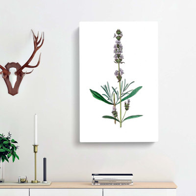 Lavender Illustration - Wrapped Canvas Painting