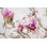 " Spring Is In The Air III " by Elizabeth Urquhart