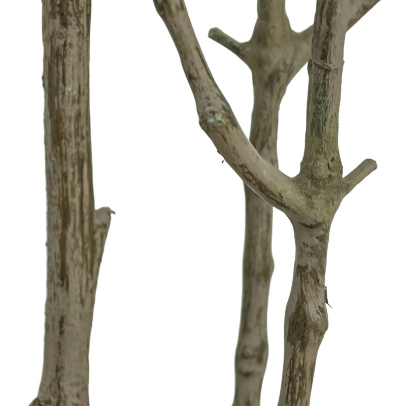 Rona Tree-Rona Tree-8'