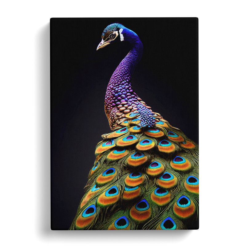 A Stunning Peacock