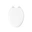 Ridgewood Quiet-Close Compression-Moulded Wood Toilet Seat-88793452-91037806