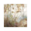 Fine Birch II by Allison Pearce - Painting on Canvas-414963005-414963004