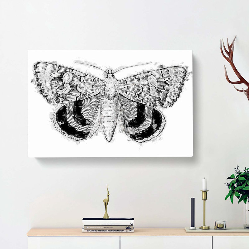 Sleepy Underwing Moth by S.F. Denton - Wrapped Canvas, 35cm H x 50cm W x 3cm D