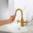 Single-Hole 2-handle Bathroom Faucet with Drain Assembly-92166692