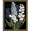 Poetic Botanicals 3 Print by Lillian August