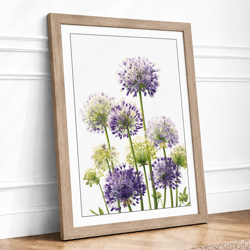 Allium in Bloom Botanical 1 Piece Single Picture Frame Wall Art, A4 - 29.7 x 21.0 cm, Oak