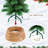Woven Hyacinth Christmas Tree Collar Basket – Rustic Base Cover