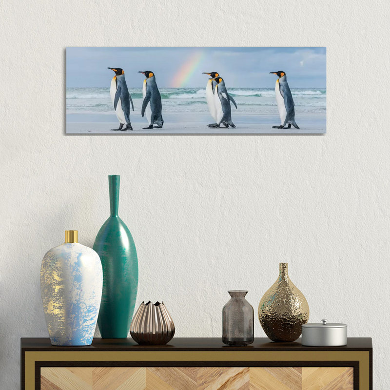 King Penguins On Beach Under Rainbow, Volunteer Beach, East Falkland Island, Falkland Islands II by Tui De Roy - Wrapped Canvas Panoramic Print