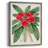 FloraOfTheTropicsIII Framed Print - Solid Wood-1819180127