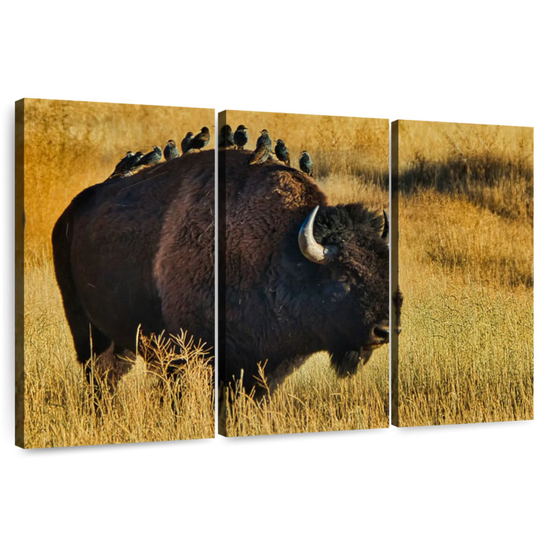Brampt Birds On Bison, 48" H x 74" W