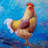 Beautiful rooster - 32"x32" art on canvas