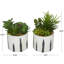 Feuillage artificiel en plastique Cole & Grey