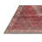 Oriental Indoor Rug-1652370236