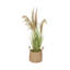 50'' Faux Reed Grass Plant in Wicker/Rattan Basket