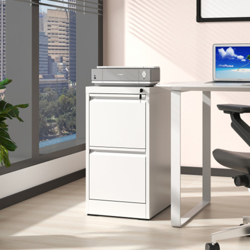 2-Drawer Lockable Metal Vertical File Cabinet for A4/Legal/Letter Size - Efficient Office & Home Storage, White