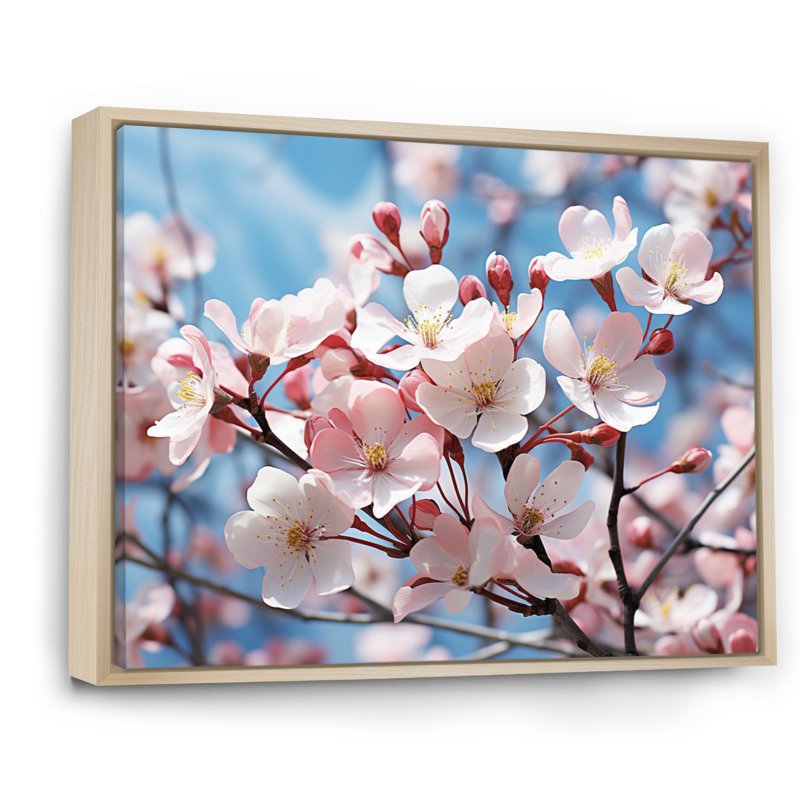 Champ de photo rose et bleu cornouiller II - impression, Cadre naturel flottant, H 16 po x l 32 po x P 1 po