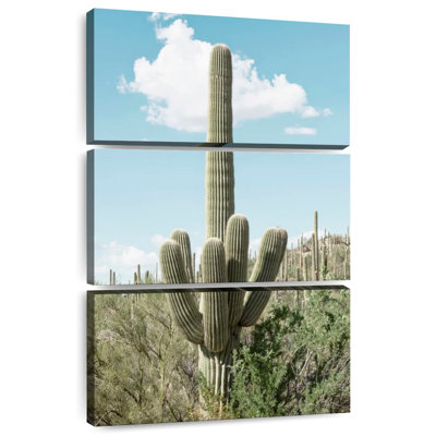 Cactus vert